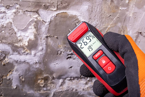 Best Commercial Mold Removal  in West Rson, CA